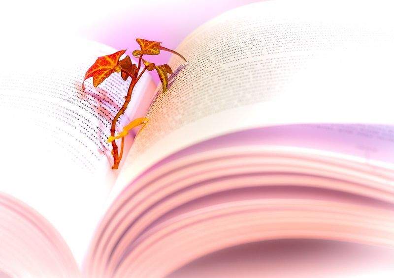 LesenWelt GmbH - Image 11